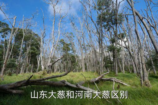 山东大葱和河南大葱区别