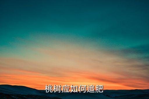 桃树应如何追肥