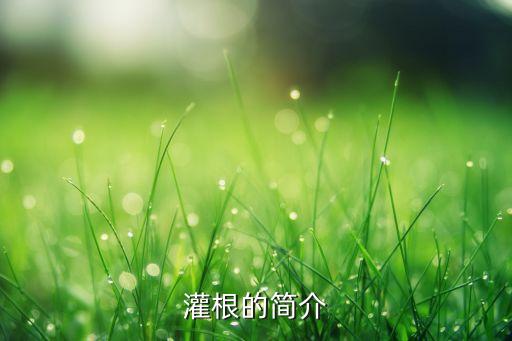 灌根的简介