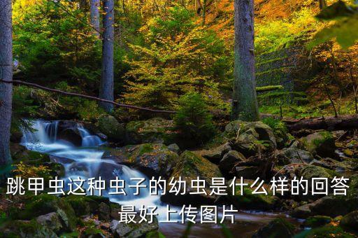 跳甲虫这种虫子的幼虫是什么样的回答最好上传图片