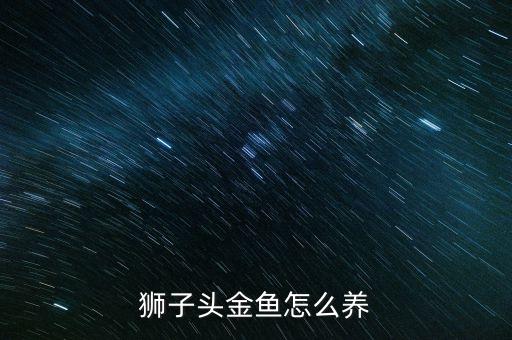狮子头金鱼怎么养