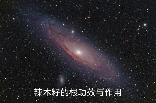 辣木籽的作用，辣木籽去湿吗