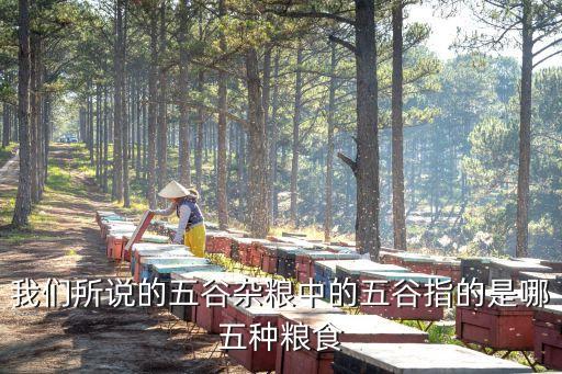五谷是哪五种粮食，五谷杂粮扫屋的五谷指哪五种粮食