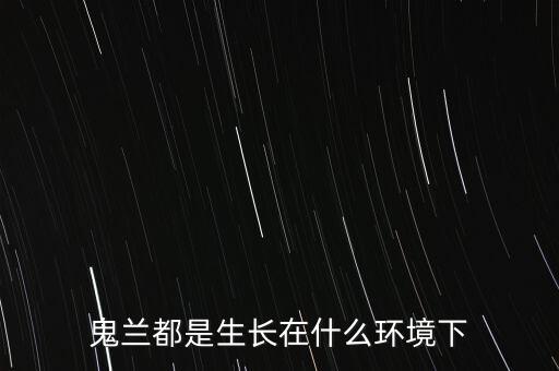 鬼兰都是生长在什么环境下