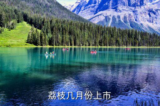 荔枝几月份上市，荔枝几月份上市