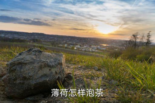 薄荷怎样泡茶