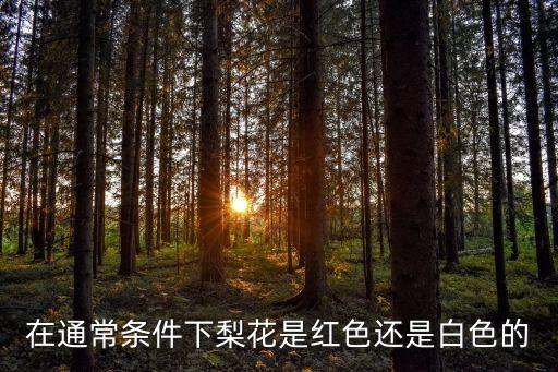 在通常条件下梨花是红色还是白色的