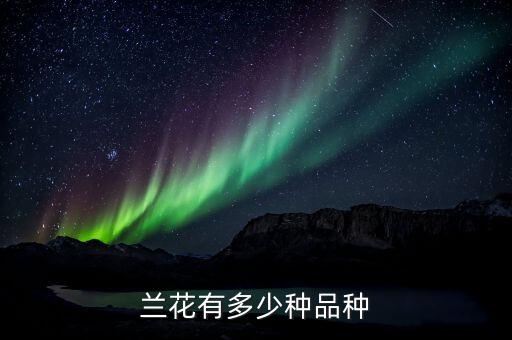 火烧兰，请大家辨认下这是什么兰花