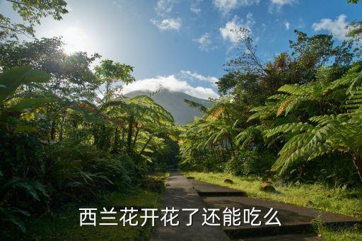 西兰花花，西兰花开花了还能吃么