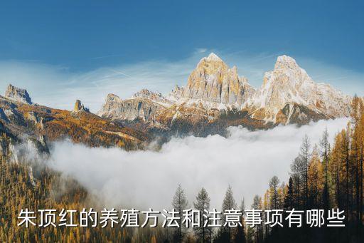 朱顶红的养殖方法，朱顶红养殖方法