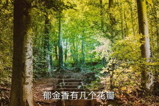 郁金香有几个花瓣