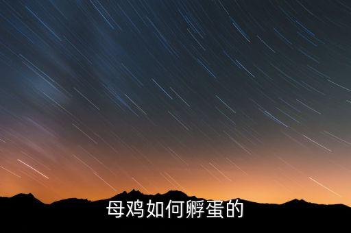 母鸡如何孵蛋的