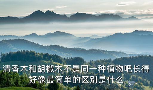 清香木和胡椒木不是同一种植物吧长得好像最简单的区别是什么