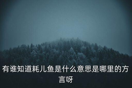 耗儿鱼，耗儿鱼是什么鱼