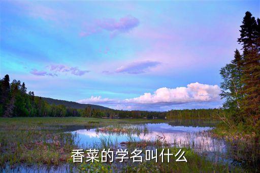香菜的学名，香菜是什么