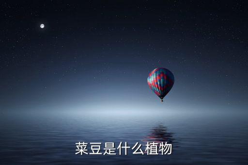 菜豆，菜豆是什么植物