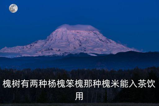 杨槐，郑州杨槐在哪里