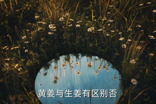 姜黄和生姜的区别，姜黄和生姜的区别