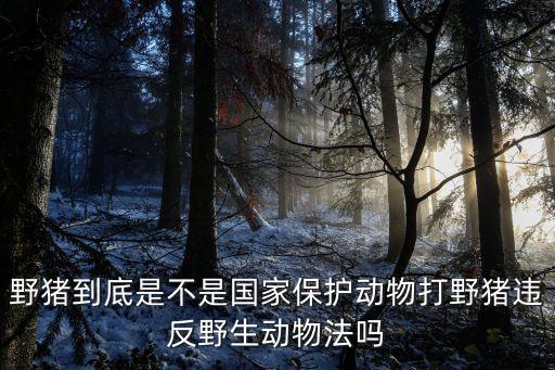 山猪图片，野猪到底是不是国家保护动物打野猪违反野生动物法吗