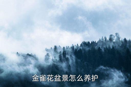 金雀花盆景怎么养护