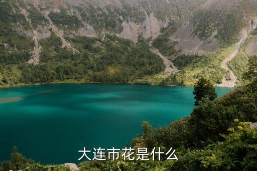 大连市花是什么