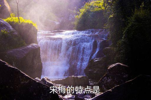 宋梅的特点是