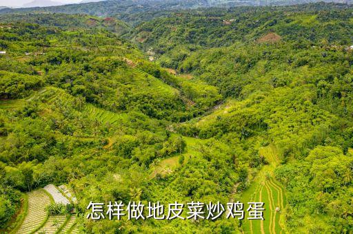 地皮菜，地皮菜是什么菜