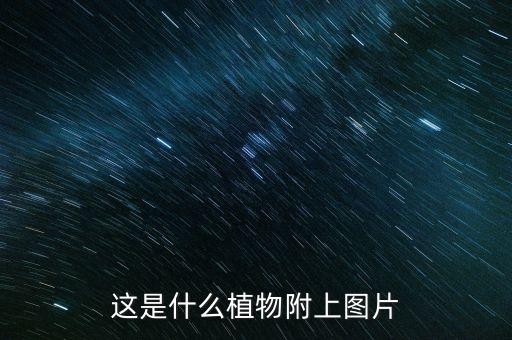 球花石斛图片，这是什么虫子 爬在墙上 很多图片是放大了很多的实际特别特别