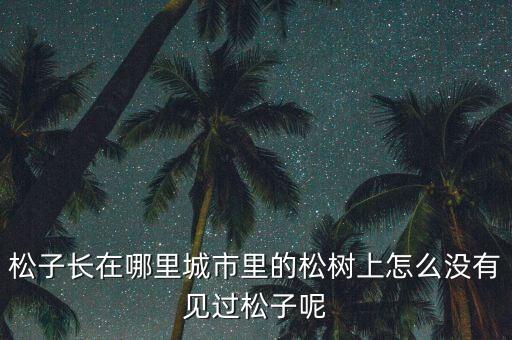 松子长在哪里城市里的松树上怎么没有见过松子呢