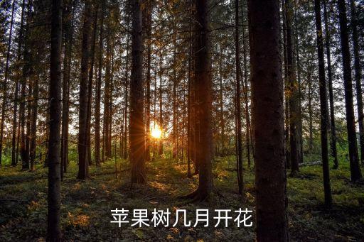 苹果树什么时候开花，苹果树几月开花