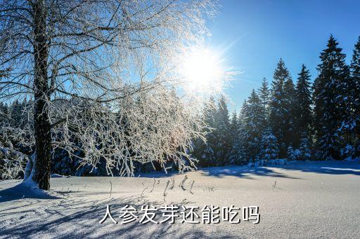 人参发芽还能吃吗，怀参发芽能不能吃食