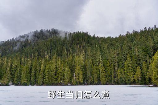 野生当归怎么煮