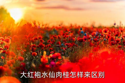 肉桂和水仙的区别，武夷岩茶水仙肉桂大红袍的关系