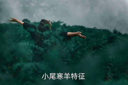 小尾寒羊，小尾寒羊怎么样