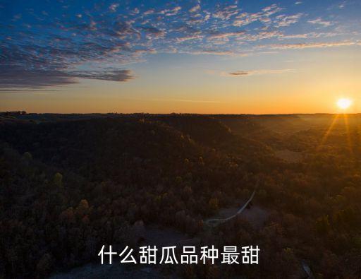 甜瓜品种大全图片，可以吃的瓜有哪些图片