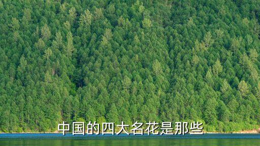 四大名花是哪四种花，中国的四大名花是什么