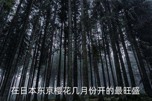 东京樱花，在日本东京樱花几月份开的最旺盛