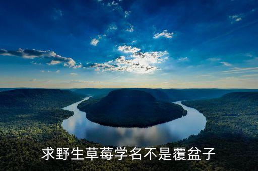 野生草莓，求野生草莓学名不是覆盆子