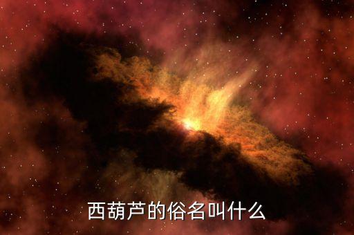 西葫芦别名叫什么，我很想知道西葫芦到底是什么