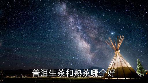 普洱生茶和熟茶哪个好