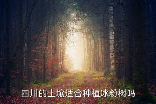 冰粉树，冰粉树种子哪里有卖