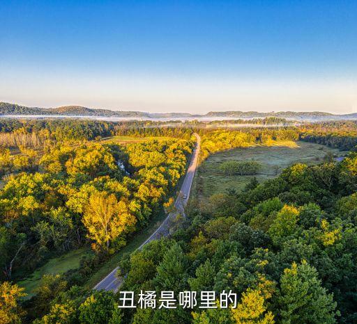 丑橘是哪里的