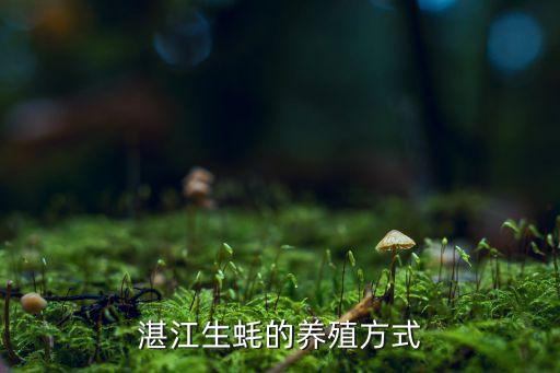 生蚝养殖，如何养蚝