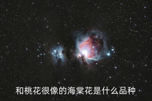 和桃花很像的海棠花是什么品种
