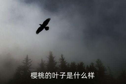 樱桃的叶子是什么样