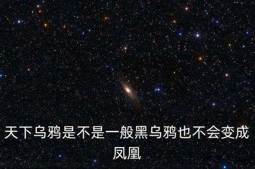 天下乌鸦是不是一般黑乌鸦也不会变成凤凰