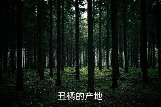 丑橘的产地