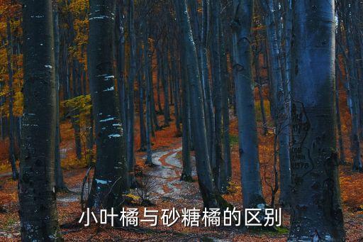 小叶橘与砂糖橘的区别
