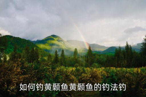 如何钓黄颡鱼黄颡鱼的钓法钓