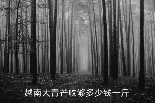 越南大青芒收够多少钱一斤